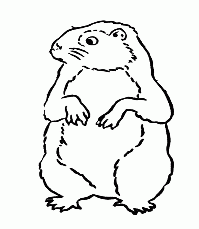 Plansa de colorat cu Marmota 1 1